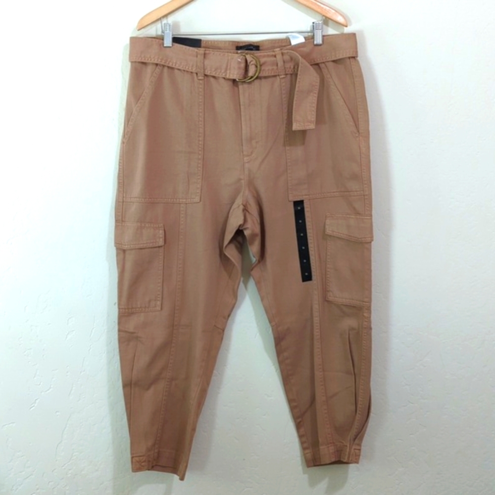 Banana Republic Factory Rust Belted Twill Cropped Cargo Pants Size 16 - Picture 3 of 10